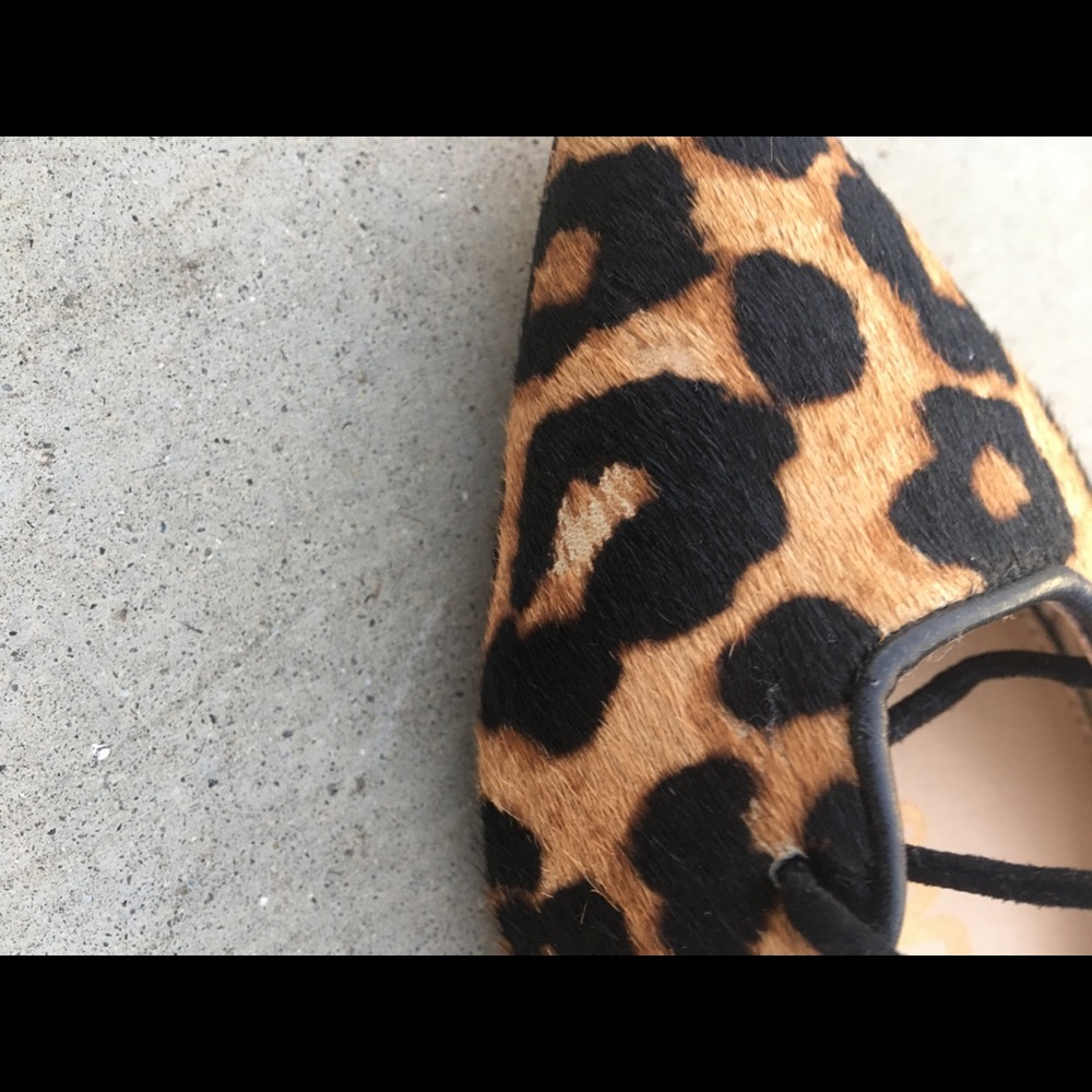 Sam Edelman - Picture 5 of 6